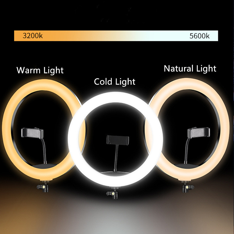 6 Inch Mini Selfie Ring Light  - Webcam Ring Light recension och pris